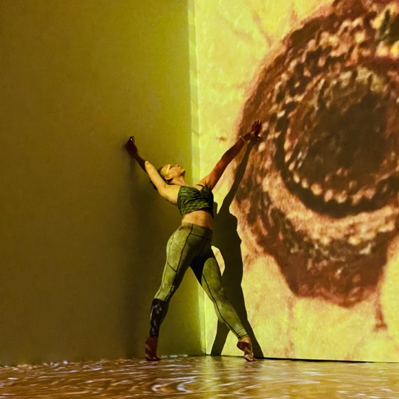 Meet your Posher, P - Picture 9 of 12